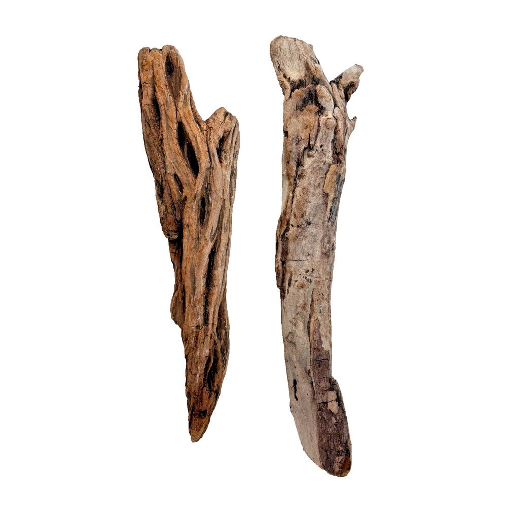 Set of 2 Cali. Coast Wavy Natural Driftwood Beach Burlwood 1.10 Lbs Terrarium